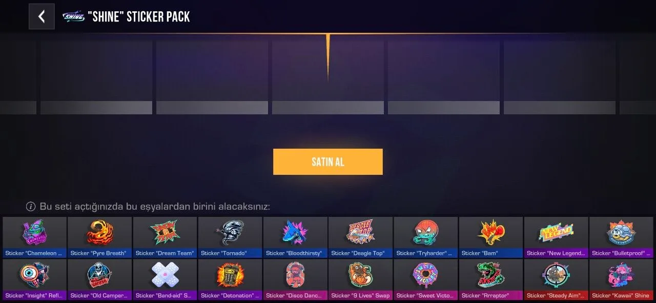 "Shine" Sticker Pack